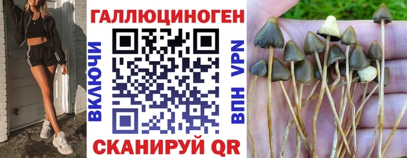 Галлюциногенные грибы GOLDEN TEACHER  Лермонтов 